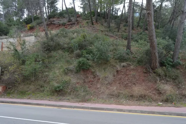 PARCELA EN VENTA EN EL MEJOR SITIO DE CORBERA DE LLOBREGAT (BARCELONA) — 20