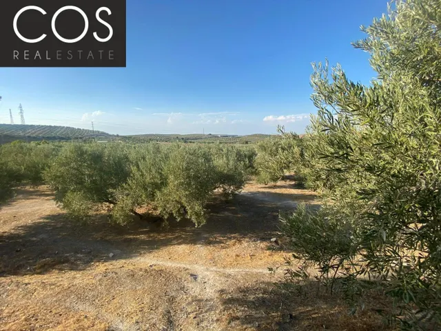 Parcela 40m² en venta - Urbanizacion azahar — 9