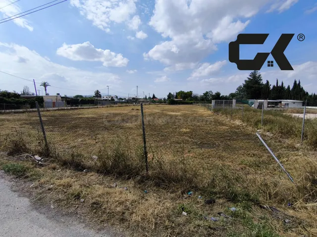 Gran parcela de regadío en La Arboleja (Molina de Segura) -  - foto 3