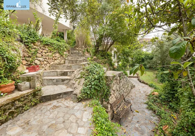 Chalet con gran parcela en Cogollos — 3