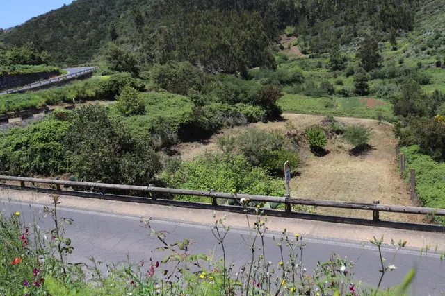 Terreno Agrario en Venta â Zona de Erjos (municipio de Los Silos / El Tanque) — 3