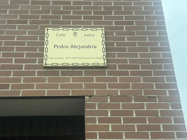 LOCAL PZA PEDRO DE ALEJANDRIA, ROCHAPEA - foto 2