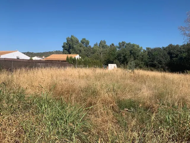 ZONA LAGUNA CUEVAS BAJAS, parcela de terreno de 2.000 m2 con