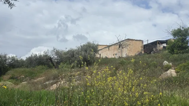 CORTIJO EL VISILLO - foto 5