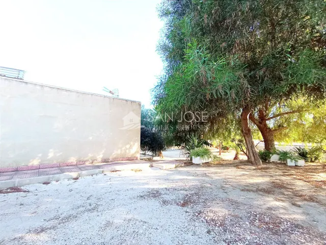 VENTA DE PARCELA ENTRE LA ROMANA Y ASPE — 16