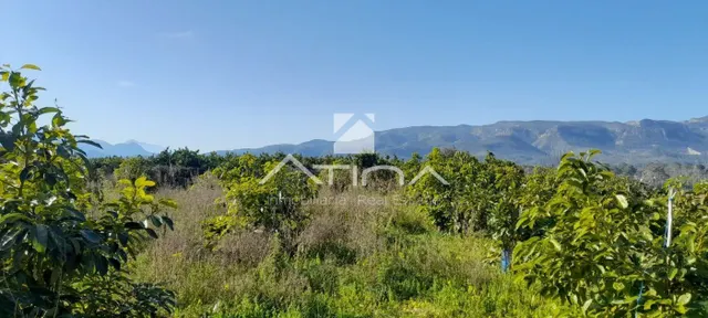 Chalet con 7 anegadas rodeado de naturaliza situado en Gandia zona Marxuquera — 7