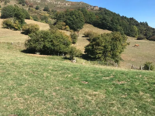 Terreno en Dobres- Ranes, Vega de Liébana. — 12