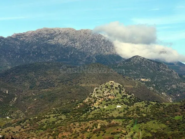 VENTA PARCELA ALREDEDORES DE EL BOSQUE - foto 2