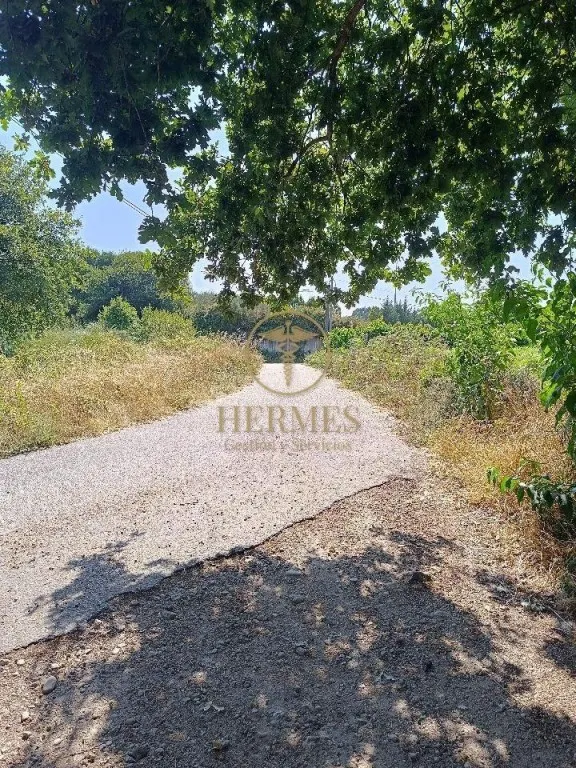 Se vende finca rustica a 1 km de Tui — 8