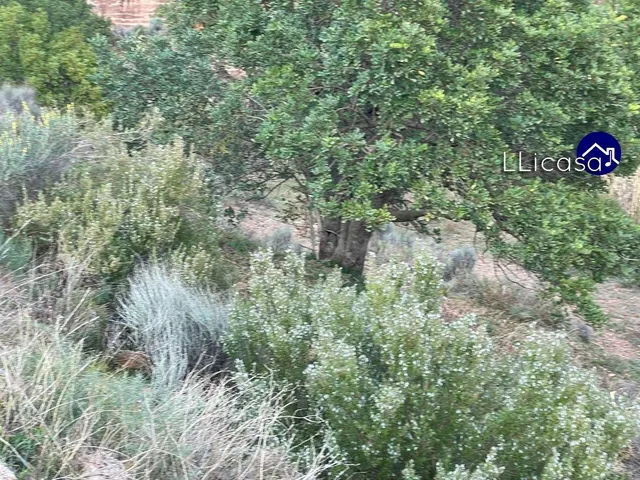 Parcela en venta - Olocau