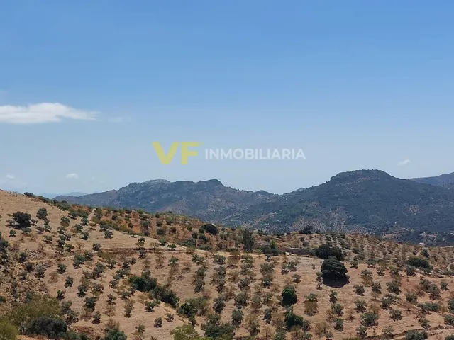 ¡Naturaleza, espacio y posibilidades a solo 7 minutos de Colmenar! — 7
