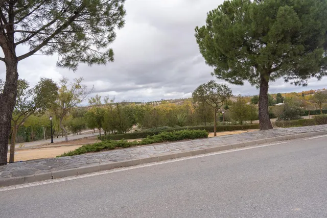 VENTA DE PARCELA EN LA URBANIZACIÓN CAÑADAS DEL PARQUE — 33
