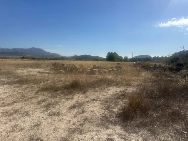 Terreno Rural Agrario de 13.000 m2 en Beties – Monóvar — 10