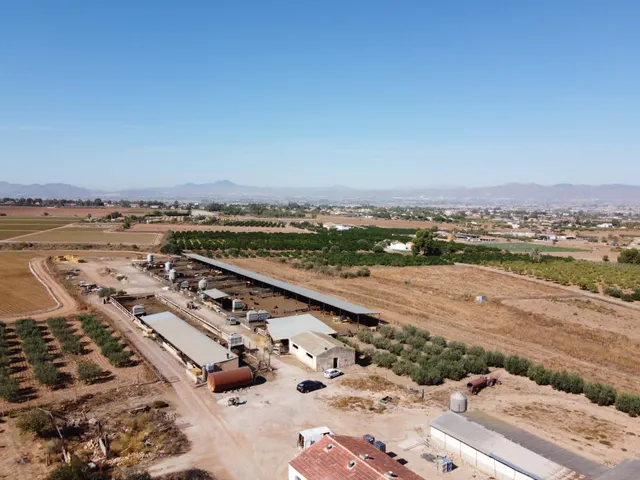 Gran explotación ganadera en lorca: capacidad para 760 cabezas y finca agrícola en producción — 3
