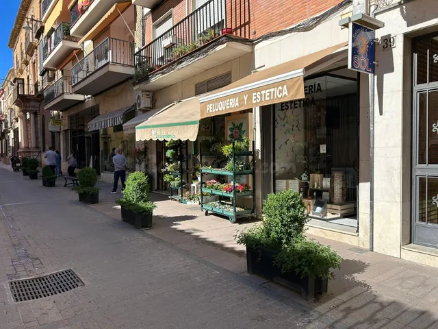 SALE A LA VENTA LOCAL EN ZONA PROXIMA A CALLE LUCENA¡¡¡¡¡¡¡¡ - foto 3
