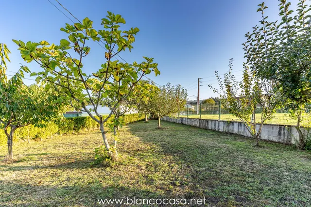 🌟 SOLAR de 1037 m2 a 9 min de 🏡CARBALLO– ¡Solo 55.000 €! - foto 4