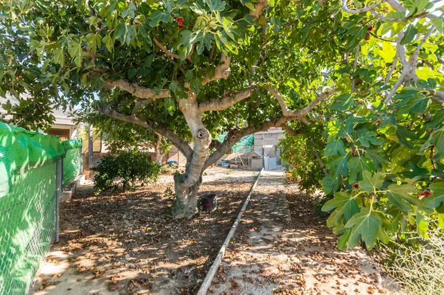 Finca rústica 4.180m2 de parcela con casa y piscina en las peñas (Fortuna) — 42