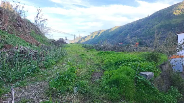Terreno rural en venta - La yedra gran canaria — 16