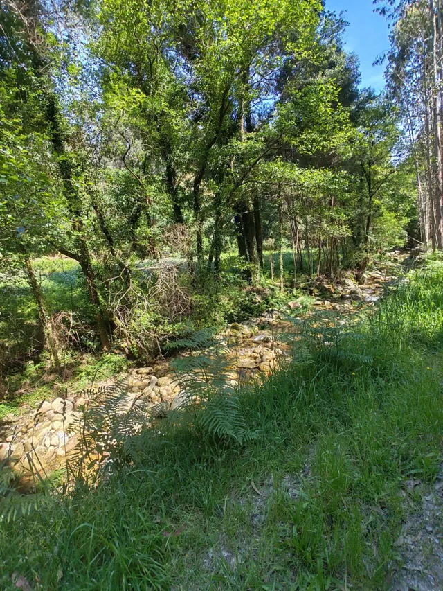 CASA EN VENTA PARA REFORMAR EN LAMPON — 22