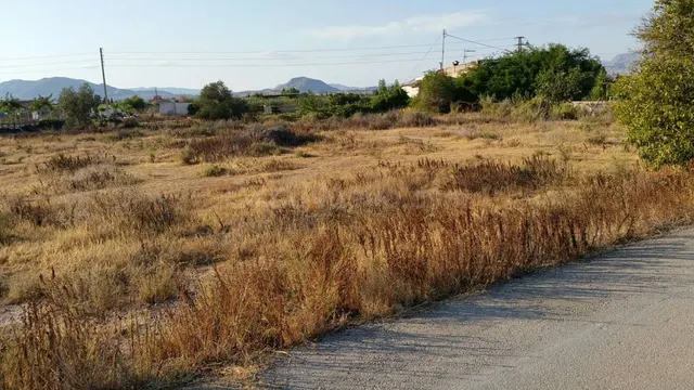SE VENDE TERRENO EN ASPE, ALICANTE, ESPAÑA, SPAIN. - foto 2