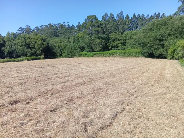 Terreno urbano en Laraxe, Cabanas. - foto 5