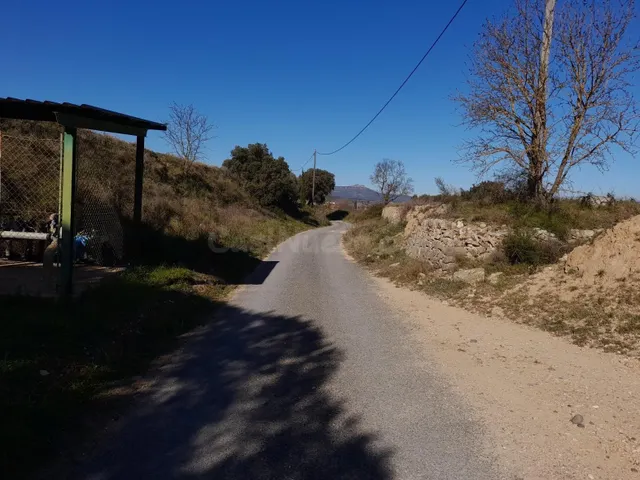 FINCA DE REGADIO DE 1,,2 HAS.CON POZO, BALSA Y ALMACEN DE HE - foto 4