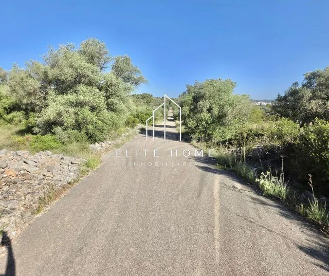EXCLUSIVA PARCELA DE 17.000M2 EN SAN JORDI - foto 4