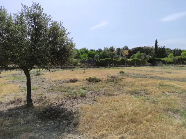 SE VENDE TERRENO URBANO EN URBANIZACIÓN FUENTE TAJUÑA DE LORANCA DE TAJUÑA (GUADALAJARA) — 25