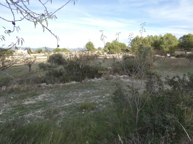 Parcela de 10.041m2 en Monovar - Collado Victoriano — 14