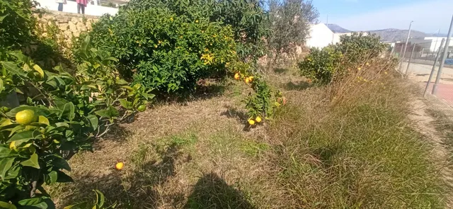 CHALET INDEPENDIENTE CON PARCELA URBANA. IDEAL INVERSORES. — 26