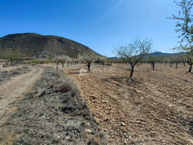 SE VENDE PARCELA CON PRODUCCION DE ALMENDROS AL LADO DEL PUEBLO DE BARBARROJA — 7