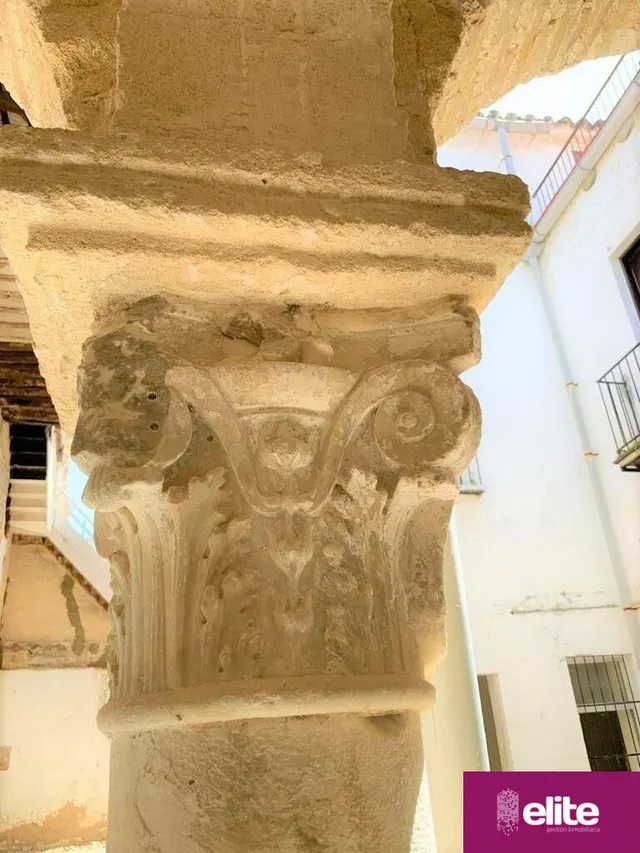 OPORTUNIDAD DE INVERSION MAGNIFICO PALACETE SEÑORIAL  EN EL CENTRO — 30