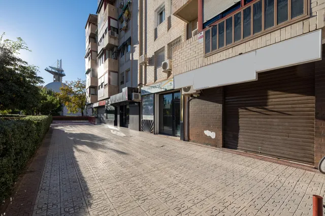 Local comercial en magnifica ubicación. Jardin de la Reina — 15