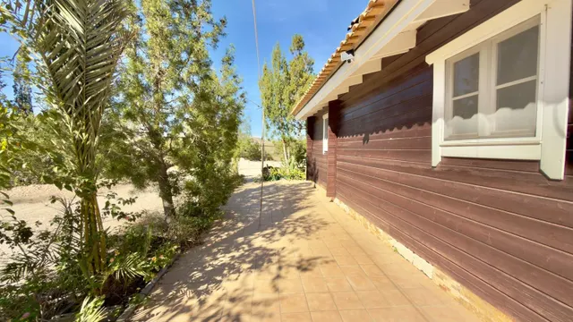 Finca rural con casa, casa auxiliar y 350 oliveras | los valientes — 20