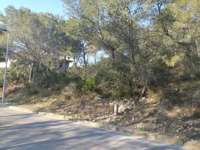 TERRENO URBANO A LA VENTA DE 994M2 EN CALAFELL URBANIZACIÓN MAS ROMEU — 2