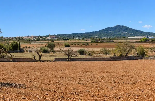 Finca rústica con posibilidad de vivienda en Ariany — 13