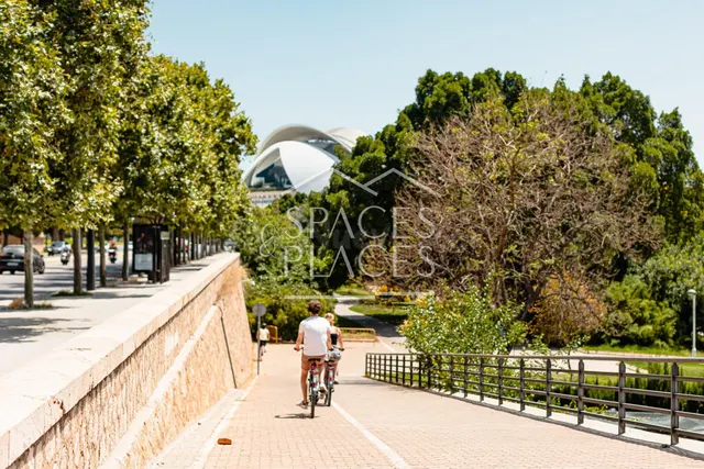 Ático-Dúplex exclusivo en Paseo de la Alameda - foto 5