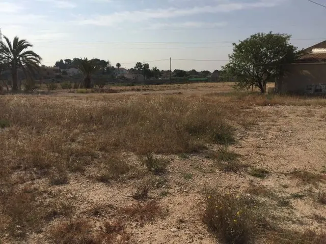 Parcela urbana de casi  30.000m2 en Elche - Zona Pena Las Aguilas — 6