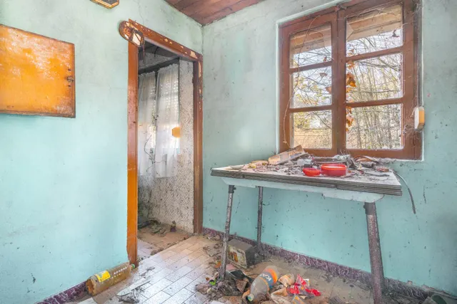 Oportunidad real: casa con parcela para rehabilitar en Tineo — 17