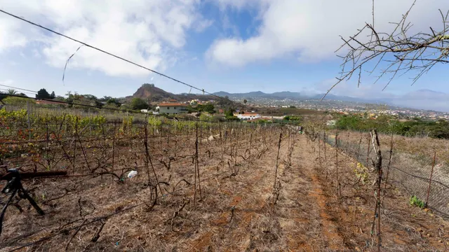 Terreno urbano en Tacoronte. — 33
