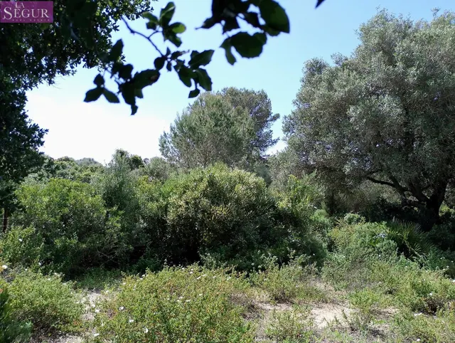 PARCELA EN VENTA EN ZAHORA - foto 4