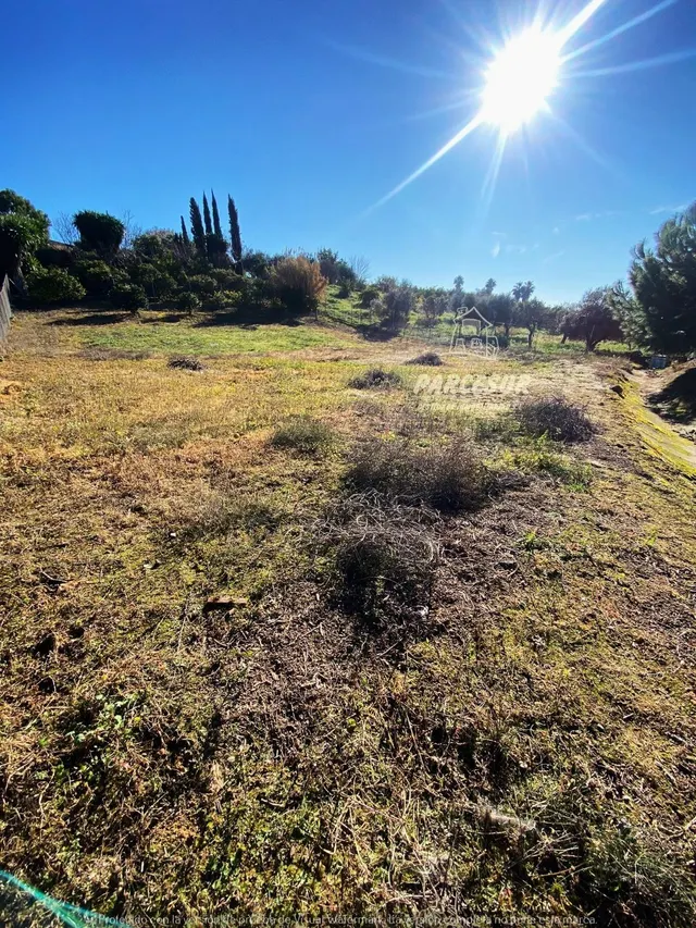 POSADAS- Parcela de terreno de 3.000m con casa en 2 plantas. — 29