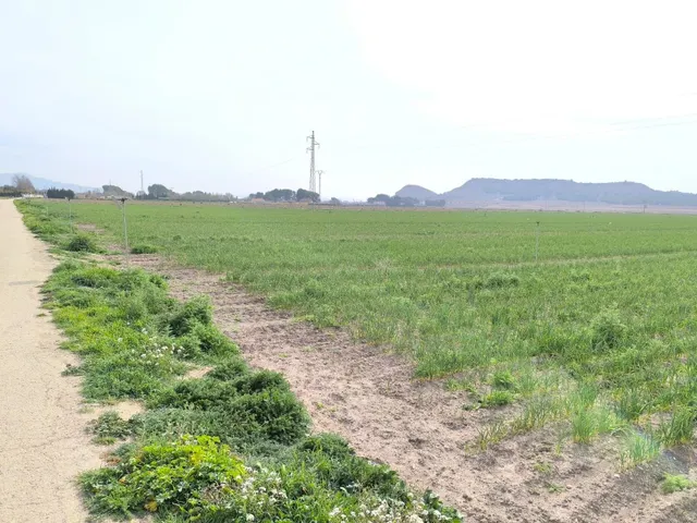 Parcela en venta - Centro — 8