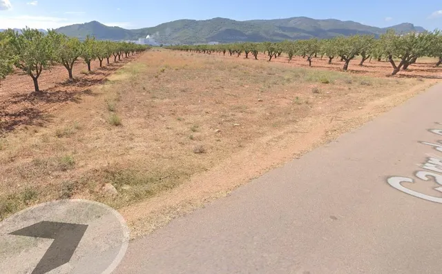 FINCA RUSTICO SECANO EN VILLAFAMES ACCESO POR CAMINO ASFALTADO — 5