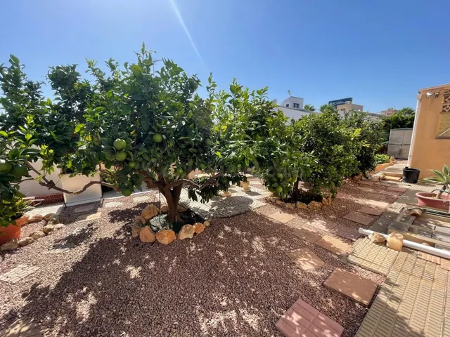Villa 4 habitaciones 180m² en venta - Costa blanca — 34