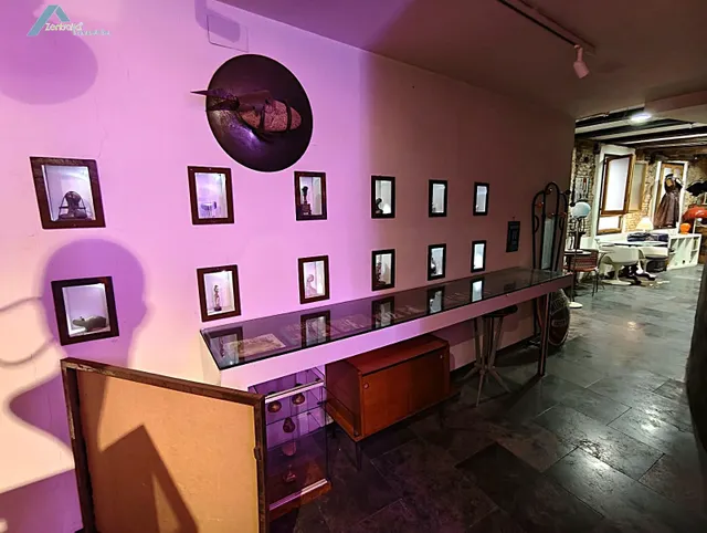 EXCLUSIVO LOCAL EN ZONA CALLE ALFONSO — 10