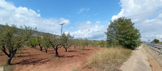 SUELO EN VENTA OROPESA DEL MAR (CASTELLON) - foto 4