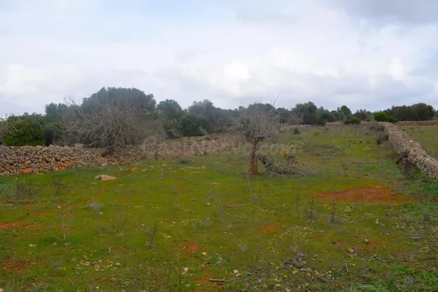 Finca rústica con posibilidad de hacer una vivienda en Santa - foto 3