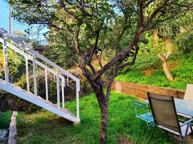 Apartamento 1 habitación 66m² en venta - Centro — 11