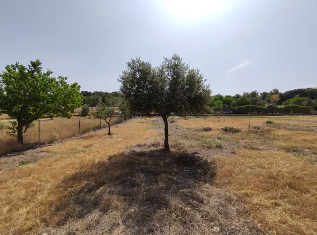 SE VENDE TERRENO URBANO EN URBANIZACIÓN FUENTE TAJUÑA DE LORANCA DE TAJUÑA (GUADALAJARA) — 21